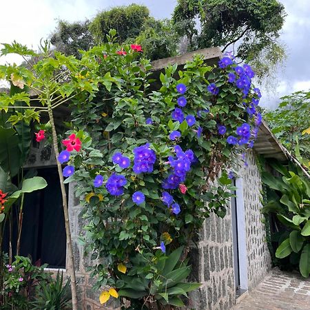 Recanto Das Mangueiras Ilhabela Esterno foto