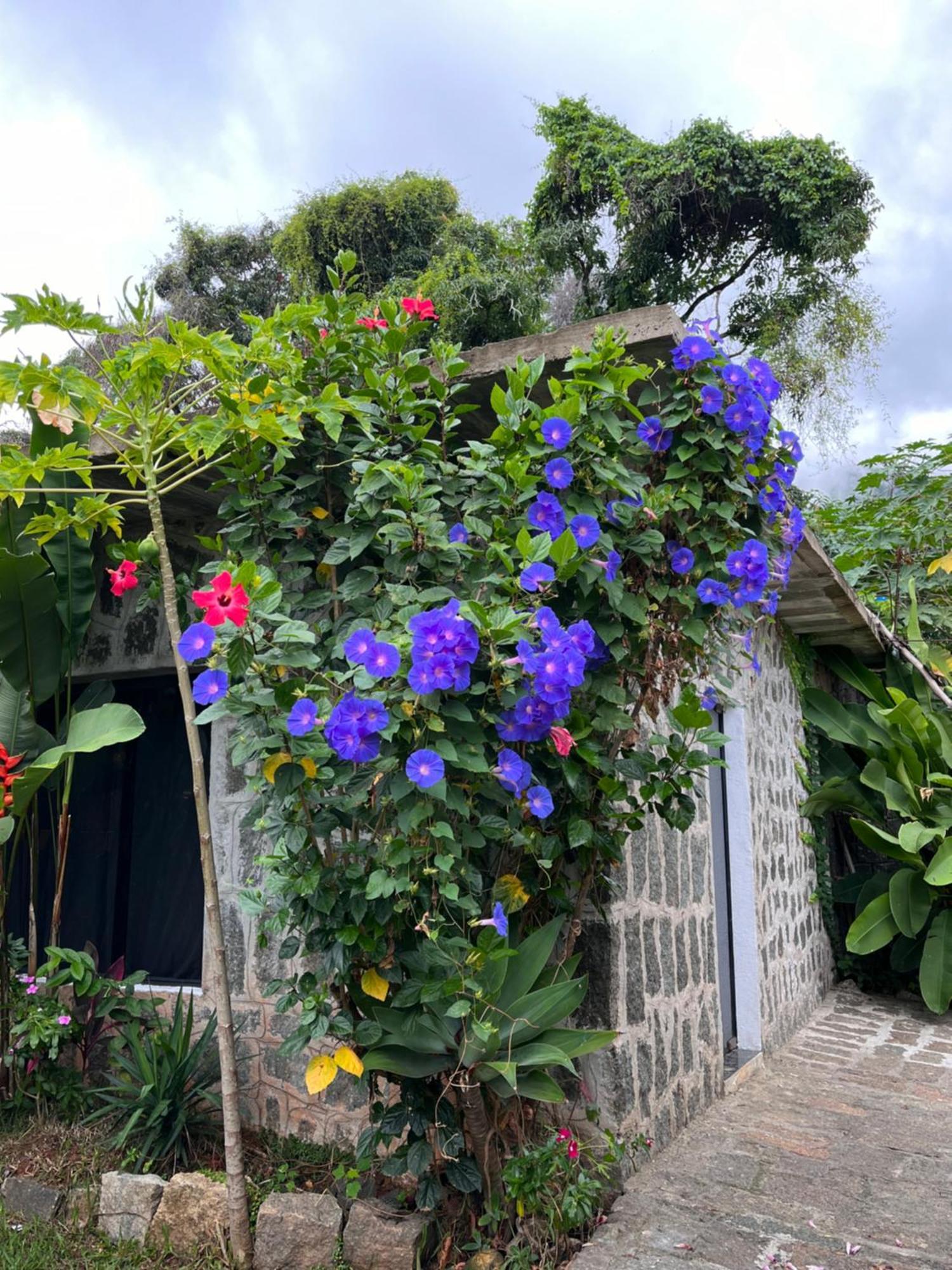 Recanto Das Mangueiras Ilhabela Esterno foto